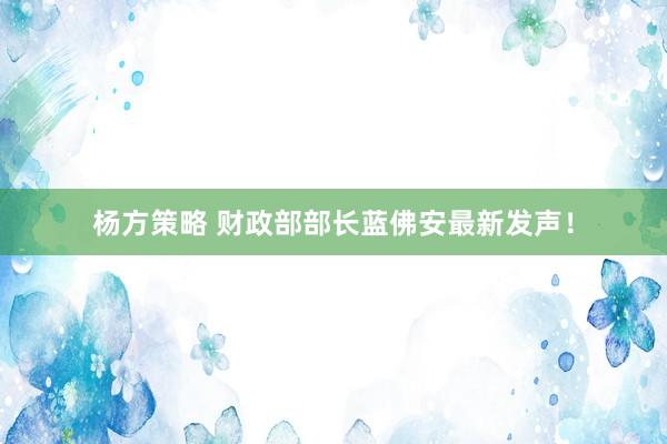 杨方策略 财政部部长蓝佛安最新发声！