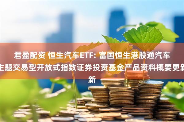 君盈配资 恒生汽车ETF: 富国恒生港股通汽车主题交易型开放式指数证券投资基金产品资料概要更新